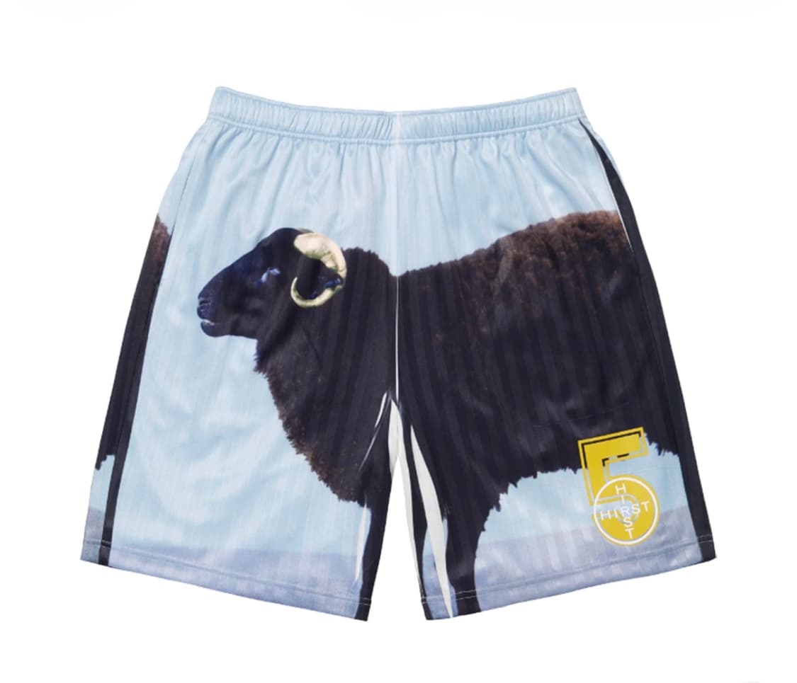 구매) 슈프림 데미안허스트 쇼츠  상품이미지1