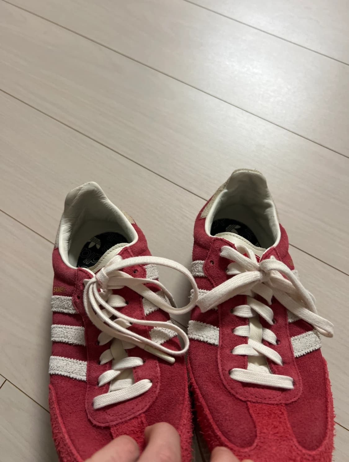 아디다스 삼바 og tal better 스칼렛 오프 화이트 상품이미지4