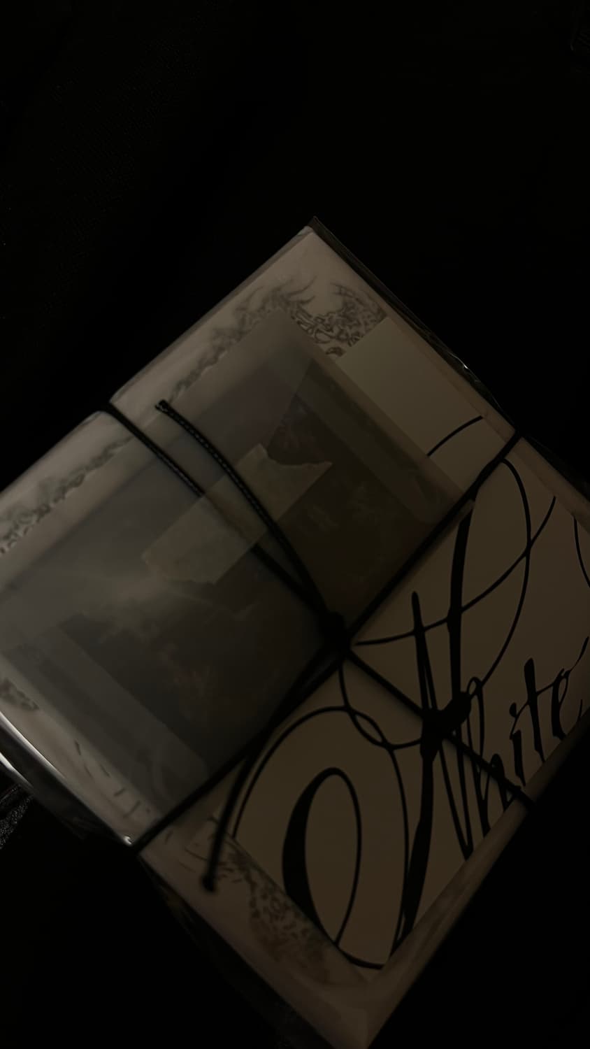 편힘찬 순수감염 앨범 미개봉 상품이미지2