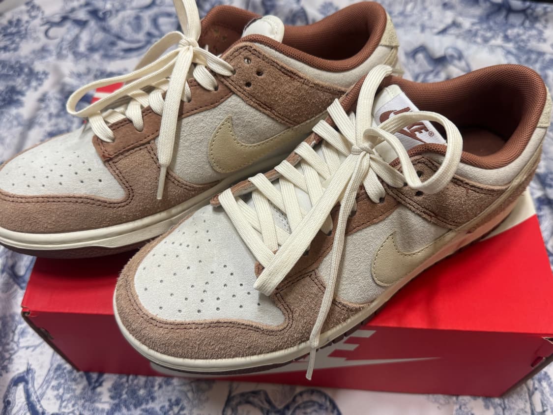 나이키 덩크 커리 260 상품이미지3