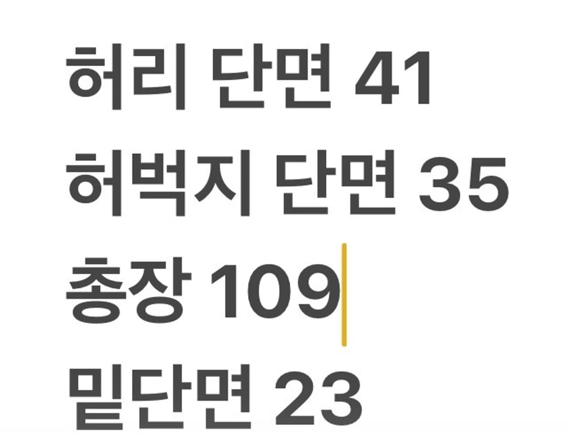 [정품/L] 살로몬 블랙 핀턱 슬랙스 b15 상품이미지7