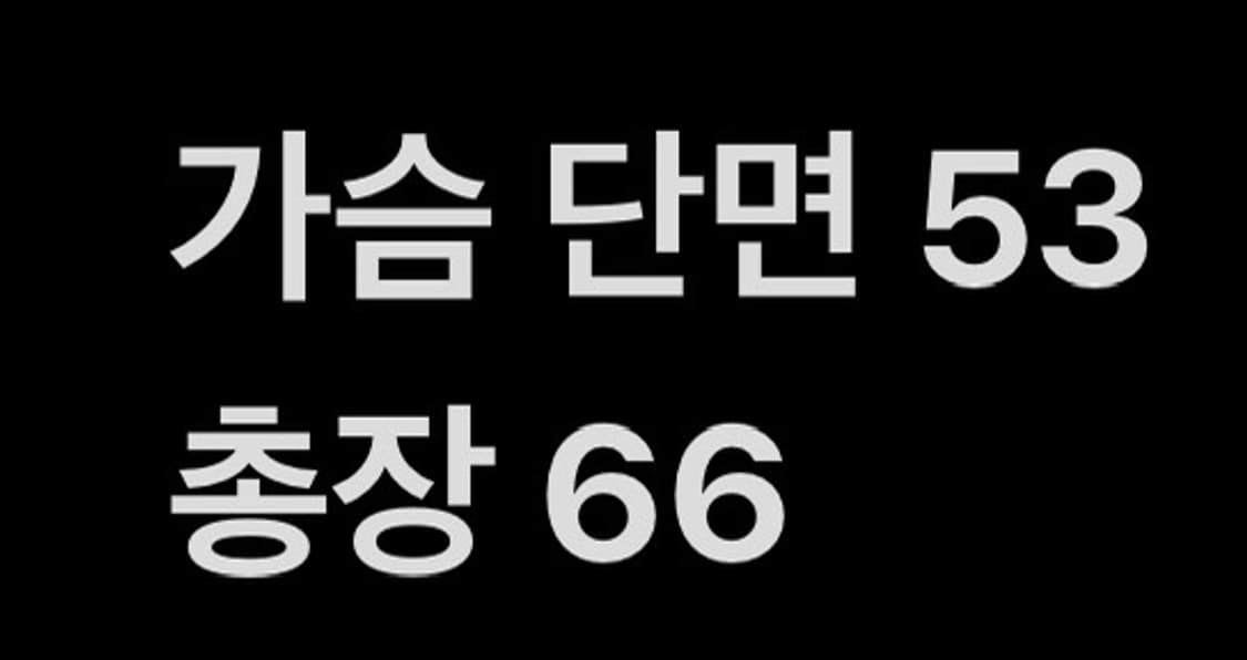 [ 정품/S,80 ] 나이키 스우시 코치 자켓 b14 상품이미지8