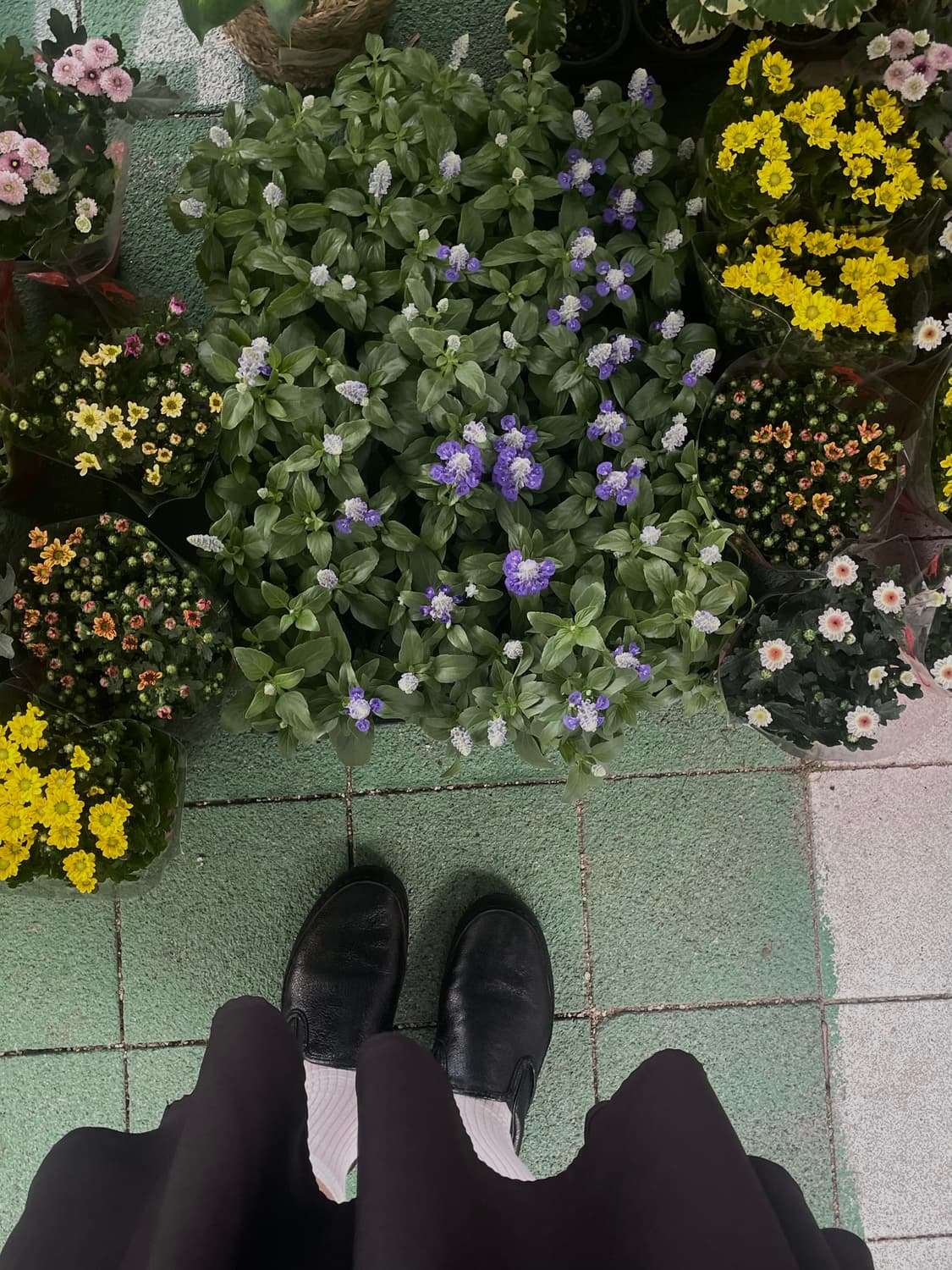 꼼데가르송 트리콧 슬립온  상품이미지5