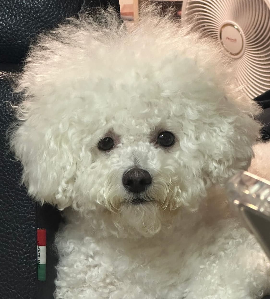 개인결제창 상품이미지1