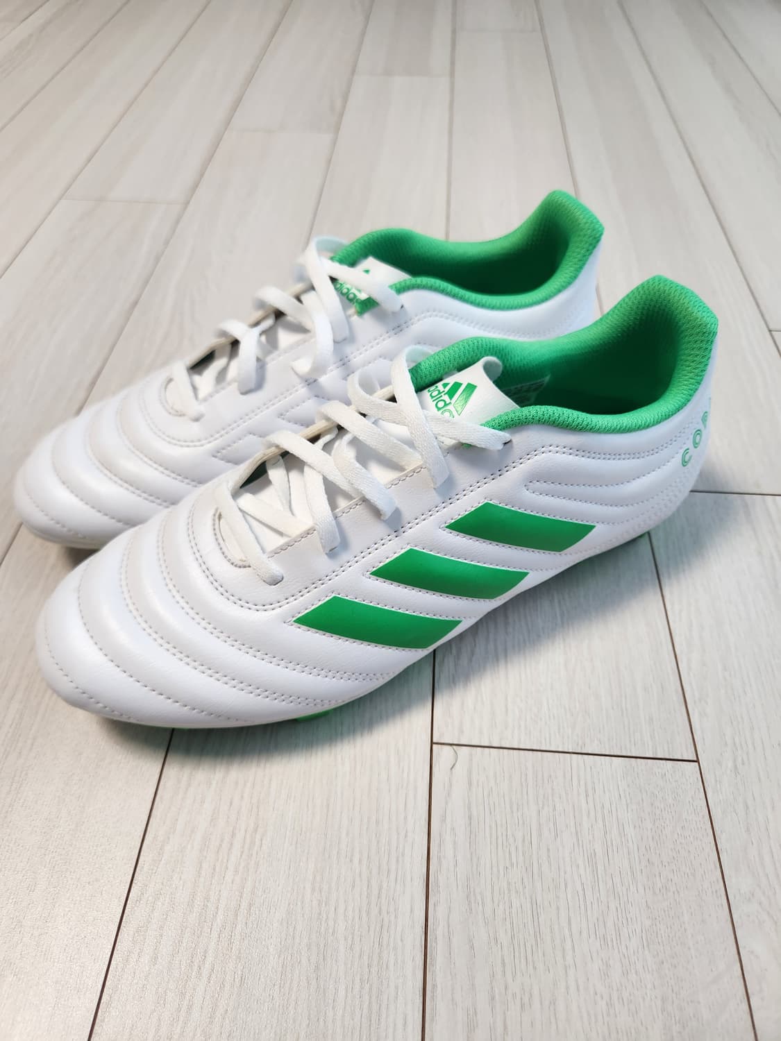 아디다스 축구화 코파 19.4 FG D98069 사이즈260

축구화/남 상품이미지1