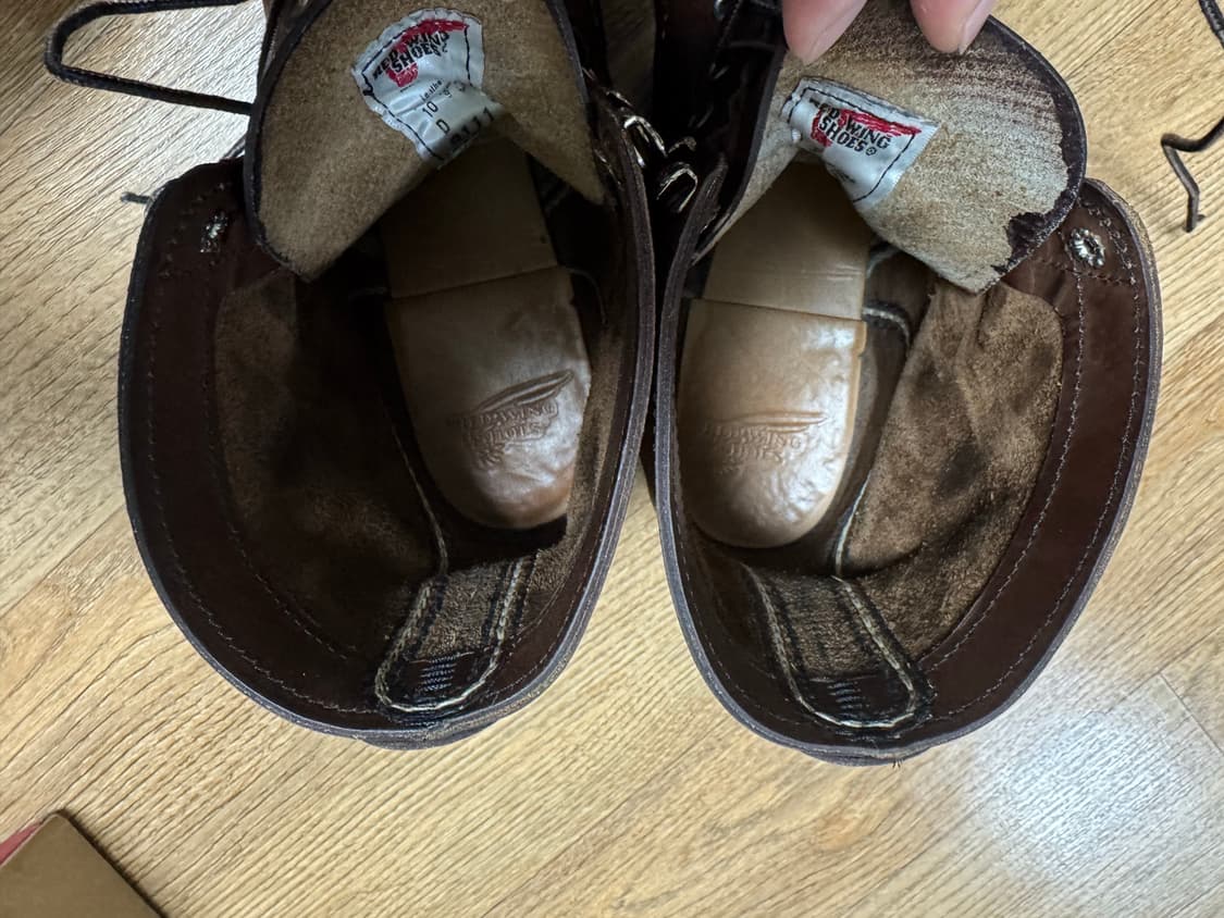 [280D]레드윙 아이언레인저8111 엠버하니스 상품이미지4