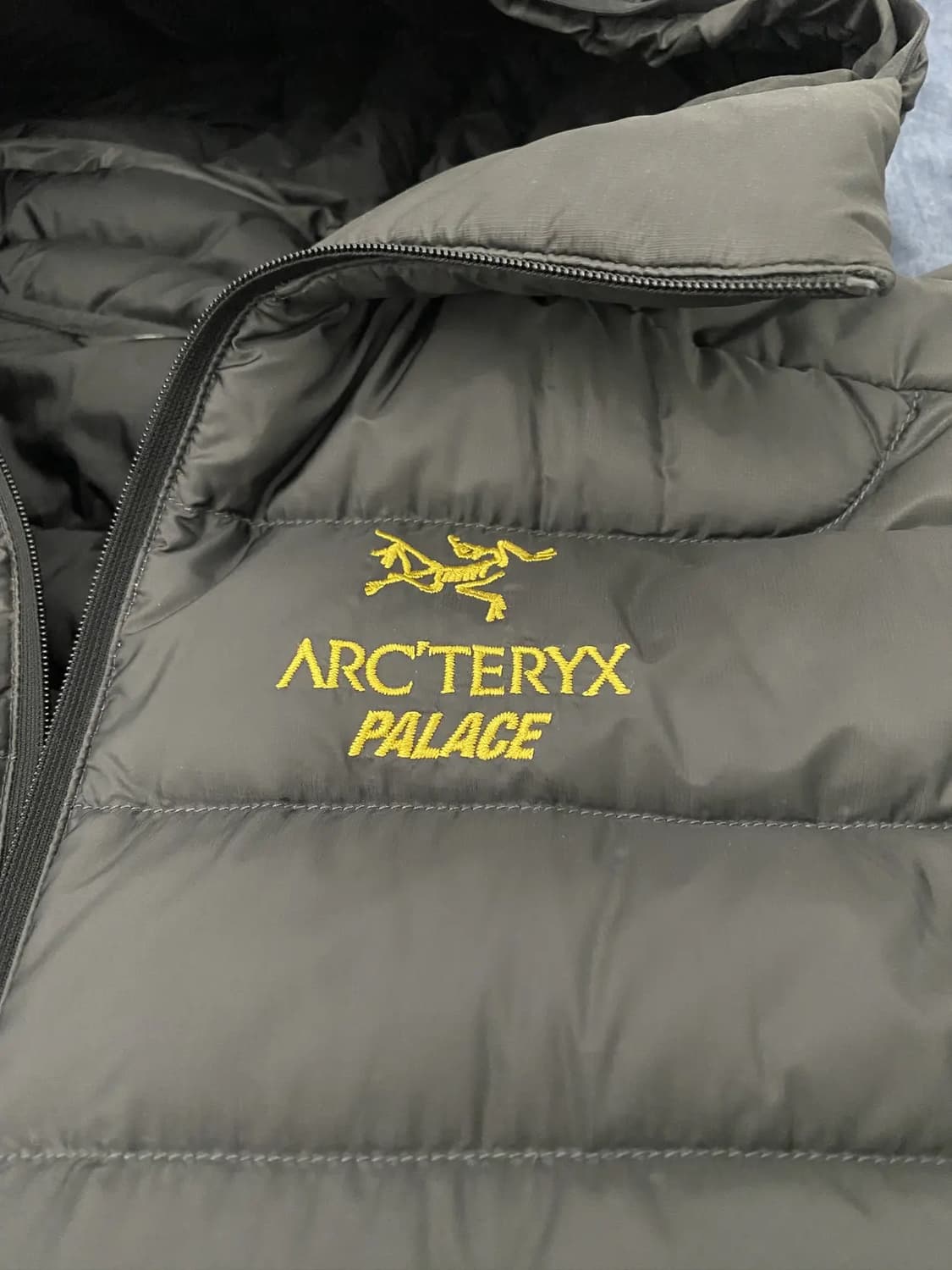 M 아크테릭스 x 팔라스 세륨 LT 후디 패딩 자켓 상품이미지2