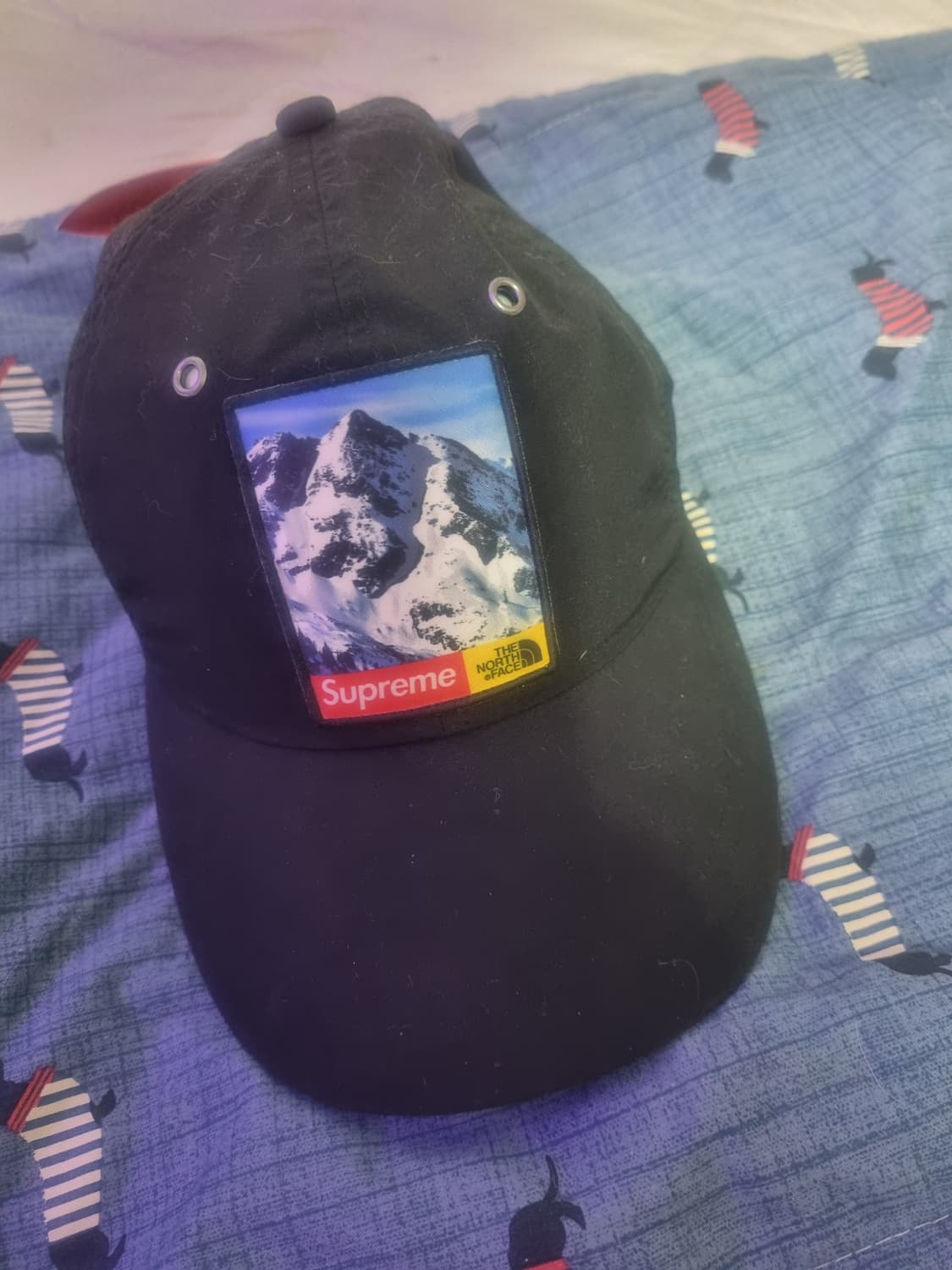 슈프림 노스페이스 17fw 설산 볼캡 모자 팝니다 (새상품) 상품이미지2