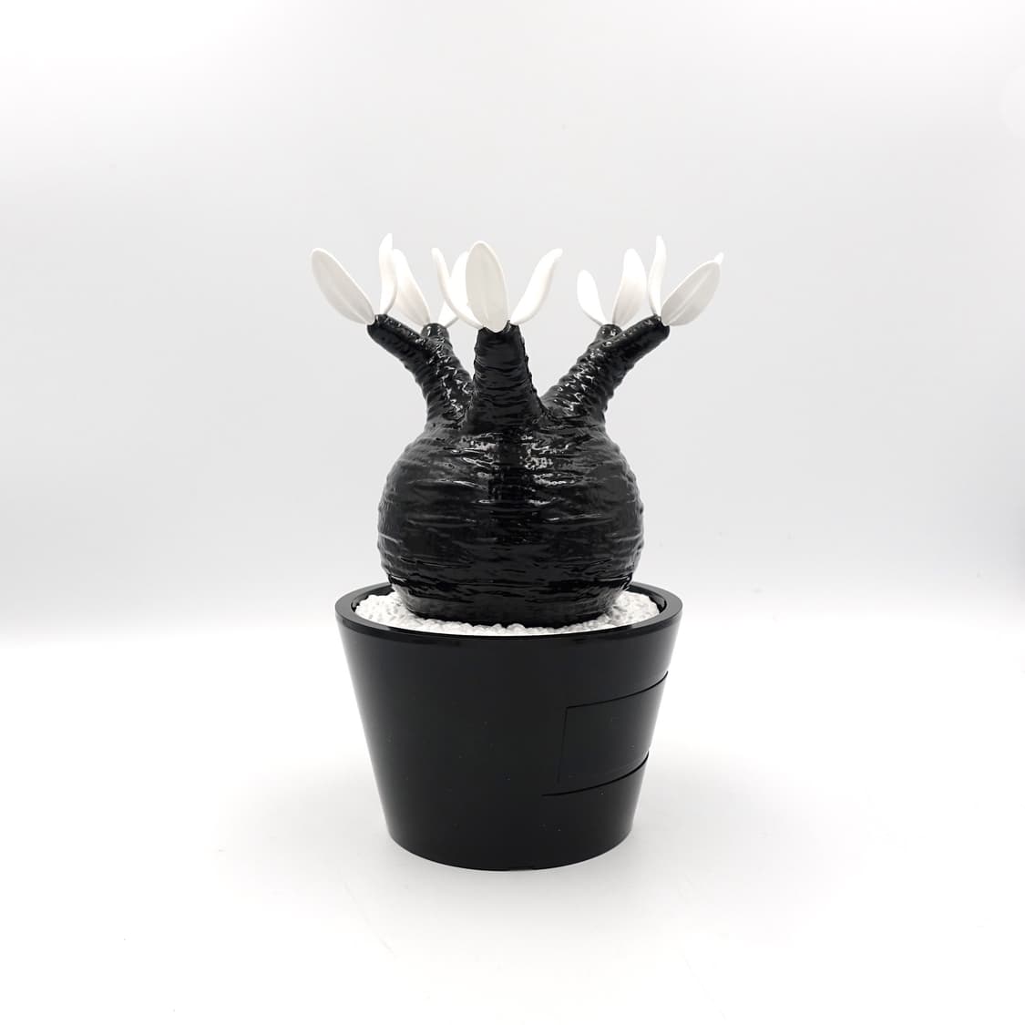 BOTANIZE 보타나이즈 메디콤토이 블랙 화이트 화분 아트토이 상품이미지5