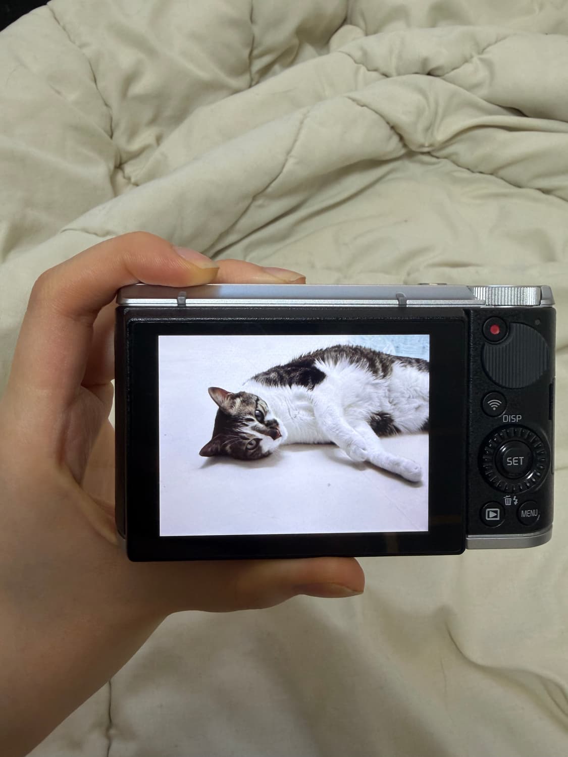 작례 포함)카시오 casio exilim zr4000 빈티지 카메라 상품이미지6