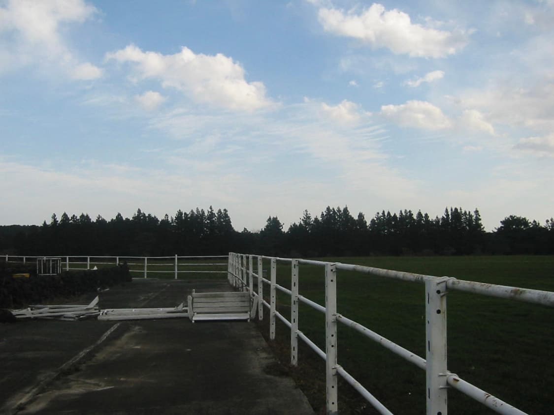 삼성 PowerShot S110 Degital Elph (작례 ⭕️) 상품이미지4