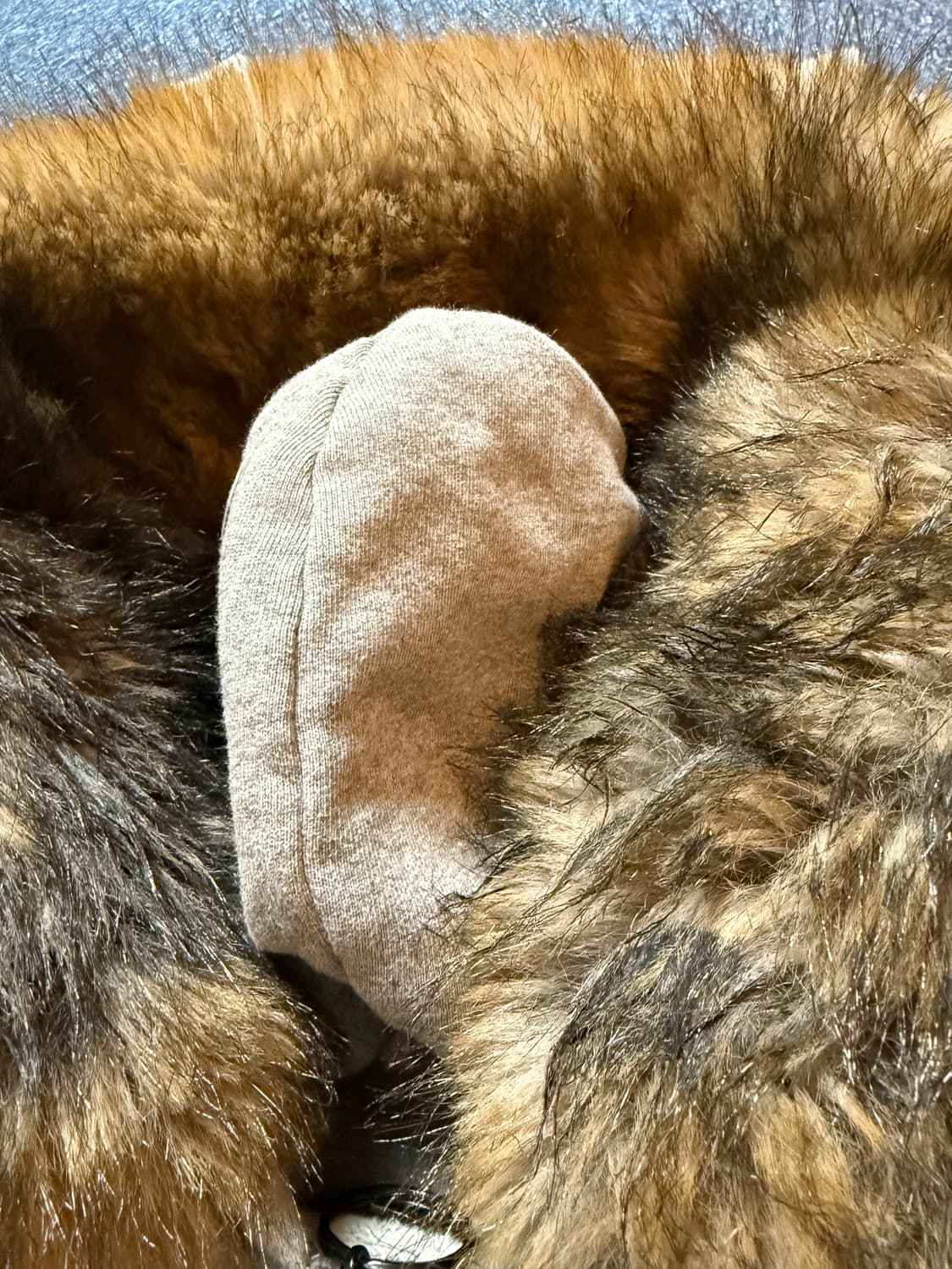 발렌시아가 럭셔리 스크립트  집업 후드 다크 헤더 그레이 L 새상품 상품이미지10