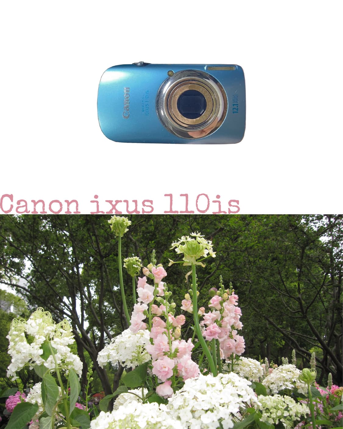 Canon ixus 110is 상품이미지1