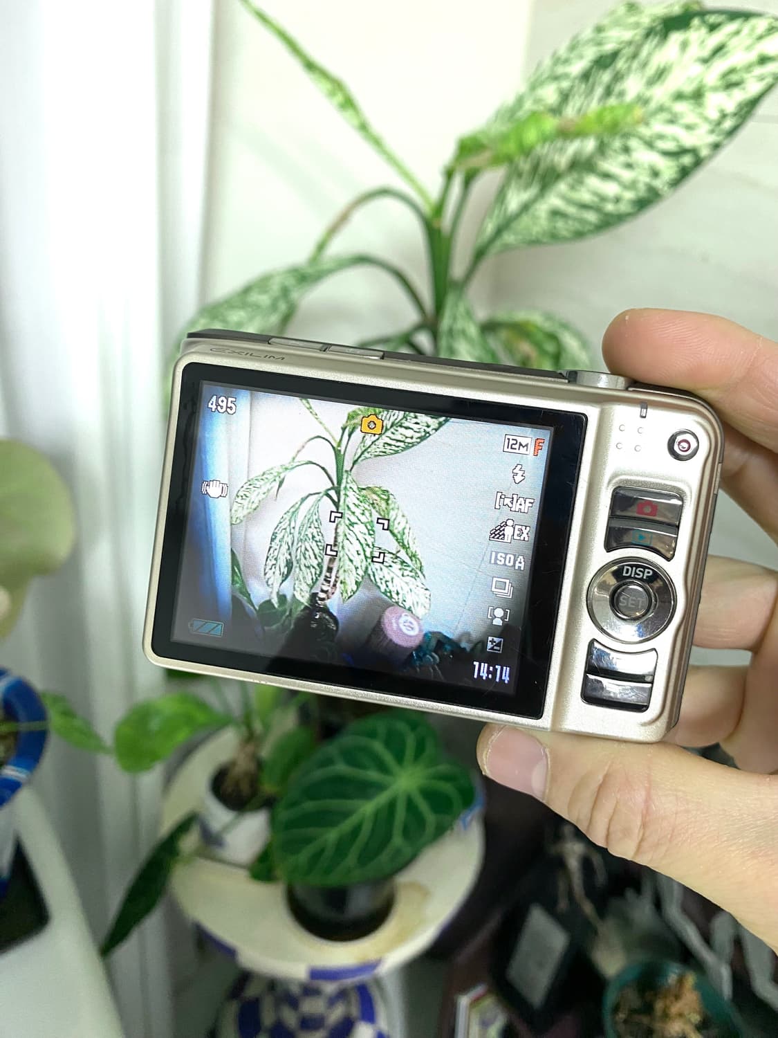 카시오 엑슬림 EX-H10 디지털 카메라 상품이미지3