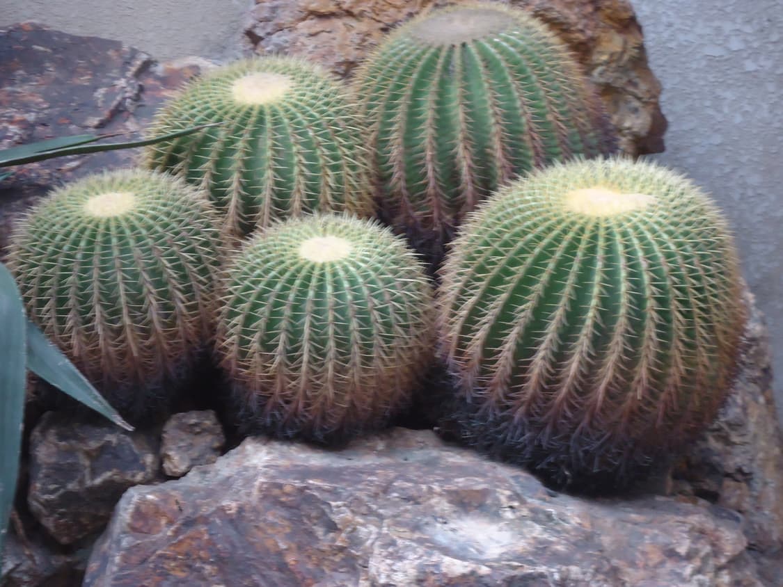 소니 사이버샷 w530 상품이미지10