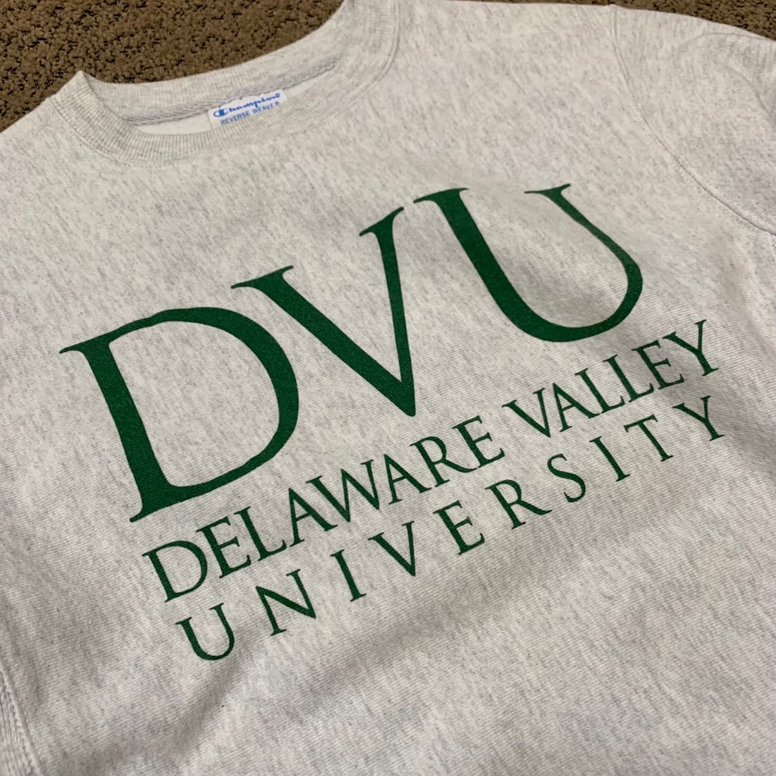 Champion 리버스위브 DVU 스웻 (S) 상품이미지2