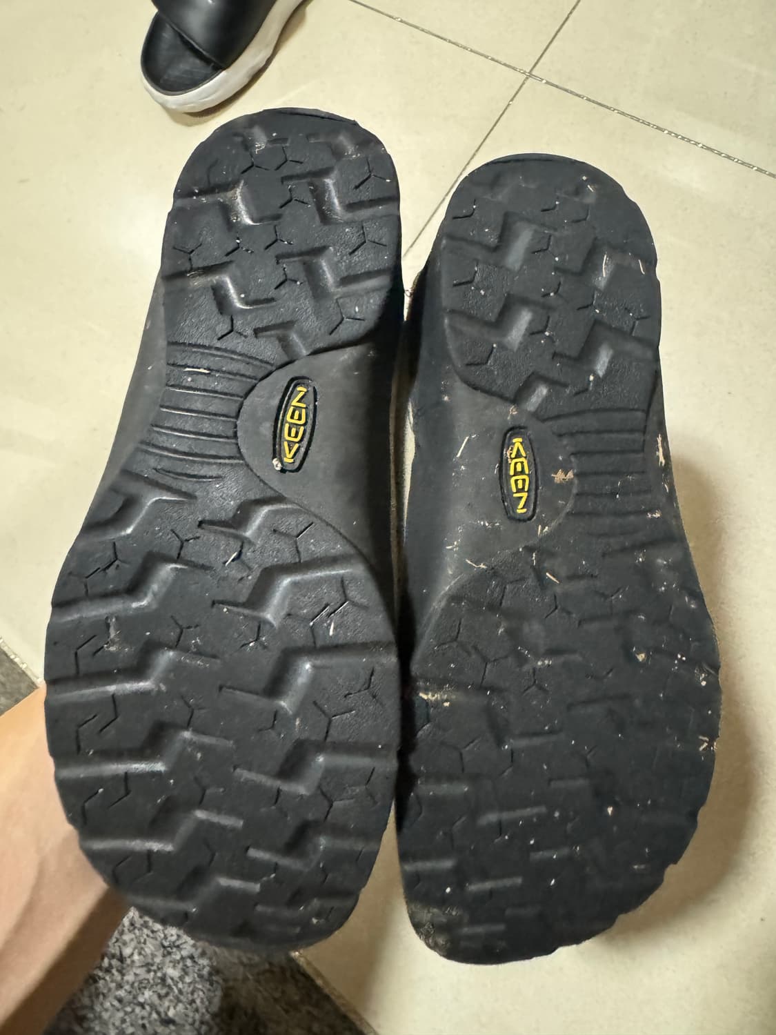 킨 재스퍼 스웨이드 스니커즈 실버 밍크  상품이미지3