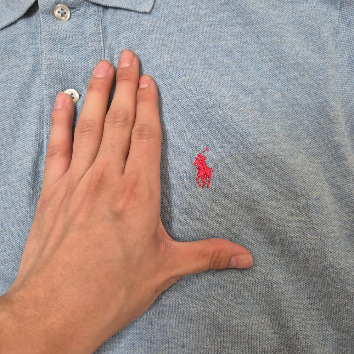 폴로 랄프로렌 반팔 카라티 상품이미지4