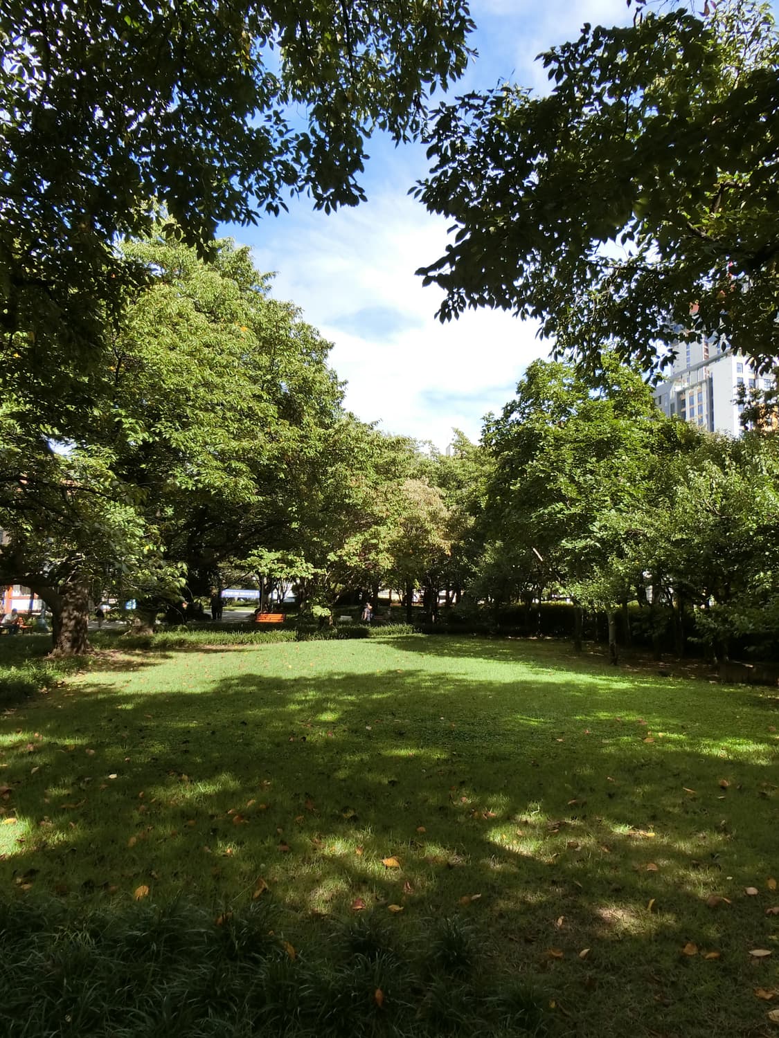 카시오 엑슬림 EX-Z270 빈티지디카 디카 상품이미지3