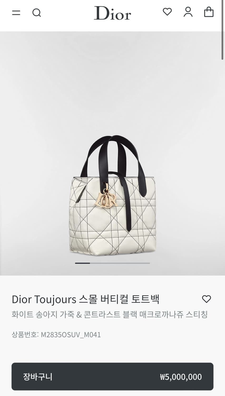 디올 뚜주흐 버티컬 스몰 상품이미지2