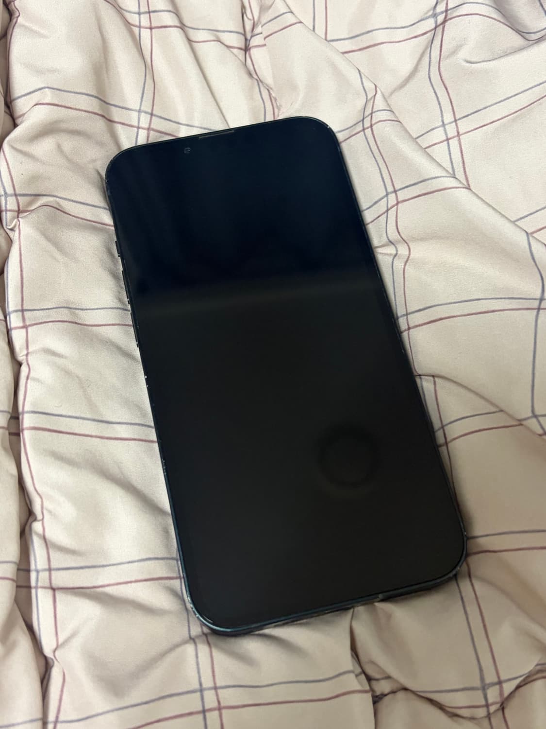 아이폰 13 (+ 케이스증정) 상품이미지1