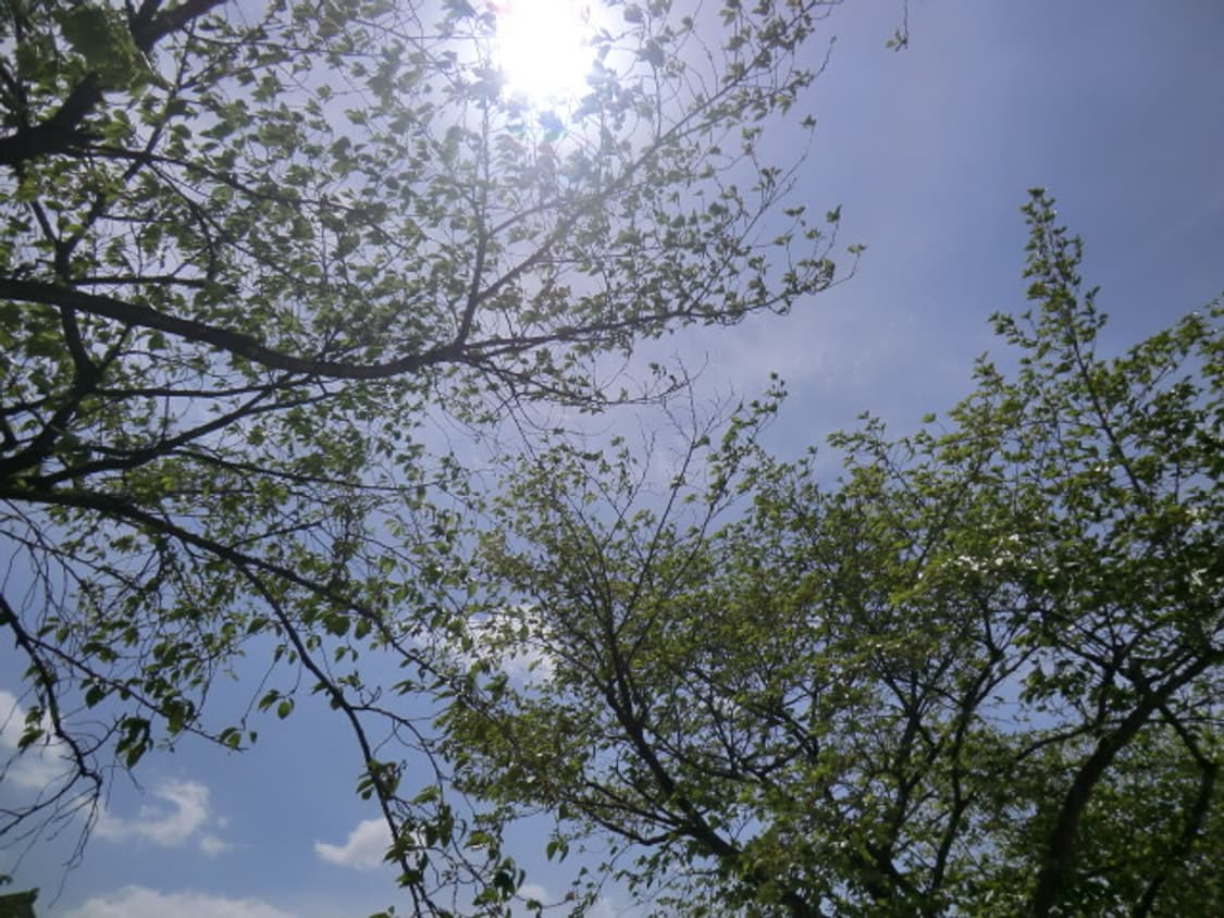 casio exilim ex-h5 (메이크업모드/최상급컨디션) 상품이미지2