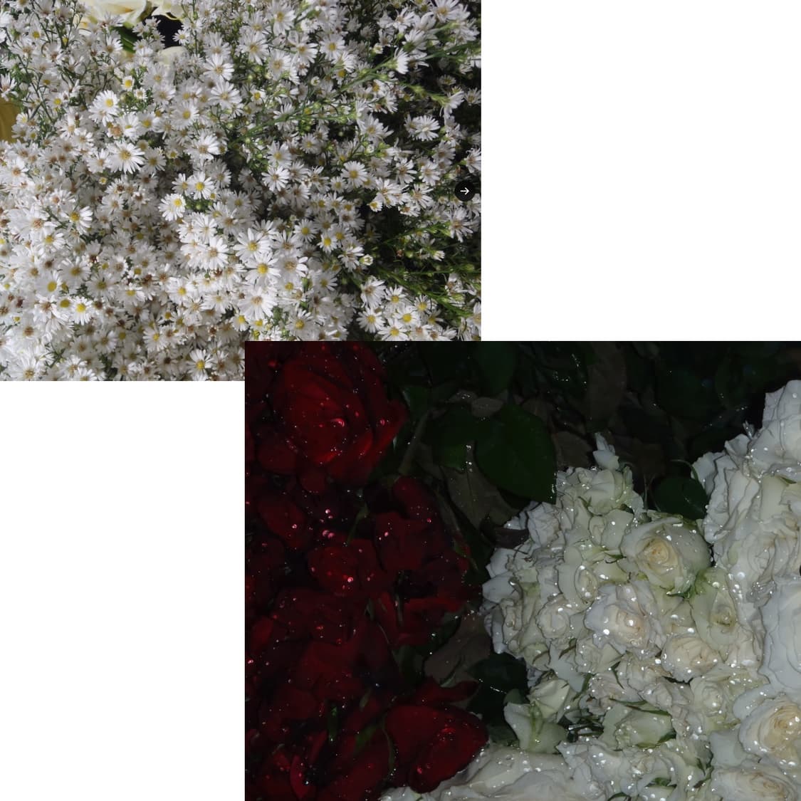 디카 올림푸스 mju tough 3000(작례0) 상품이미지4