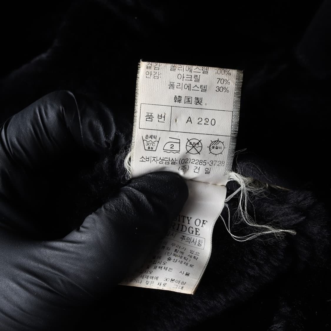 유니버시티오브캠브리지 폴리 무스탕 XL 상품이미지7