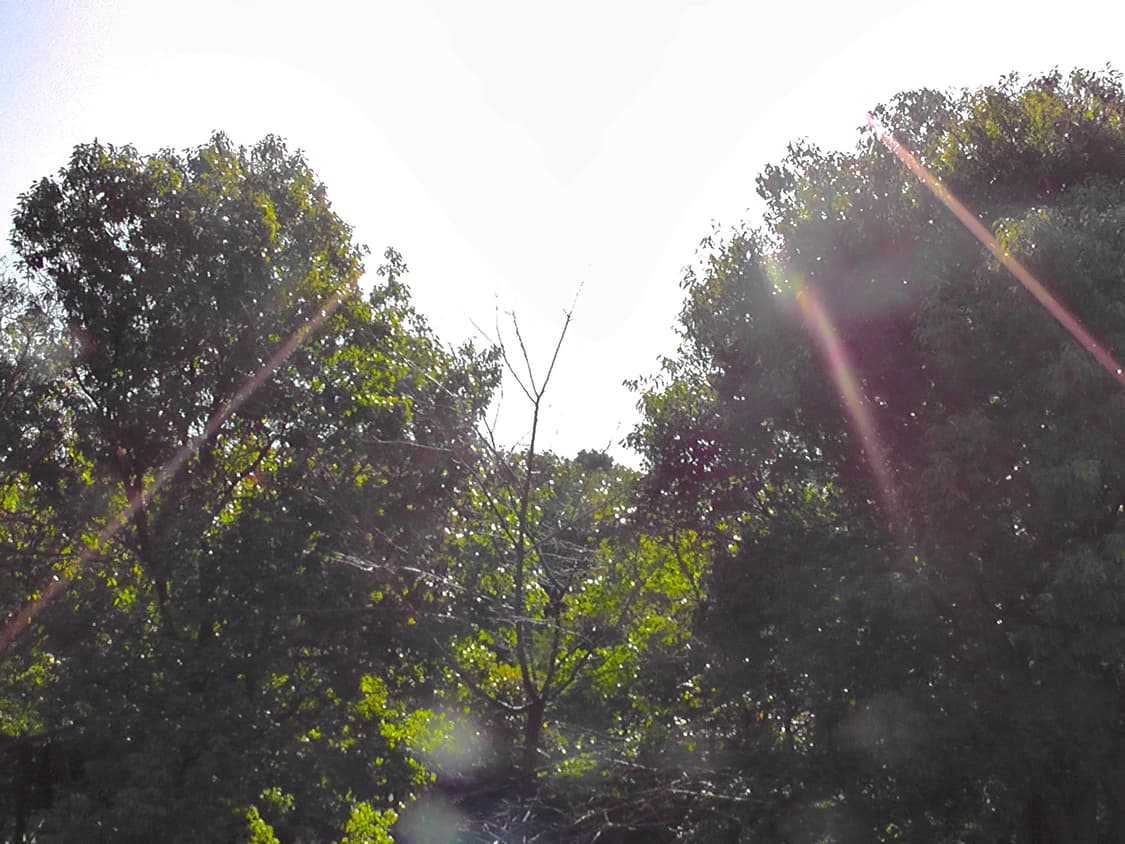 Panasonic HDC-TM60 캠코더, 작례o 상품이미지5