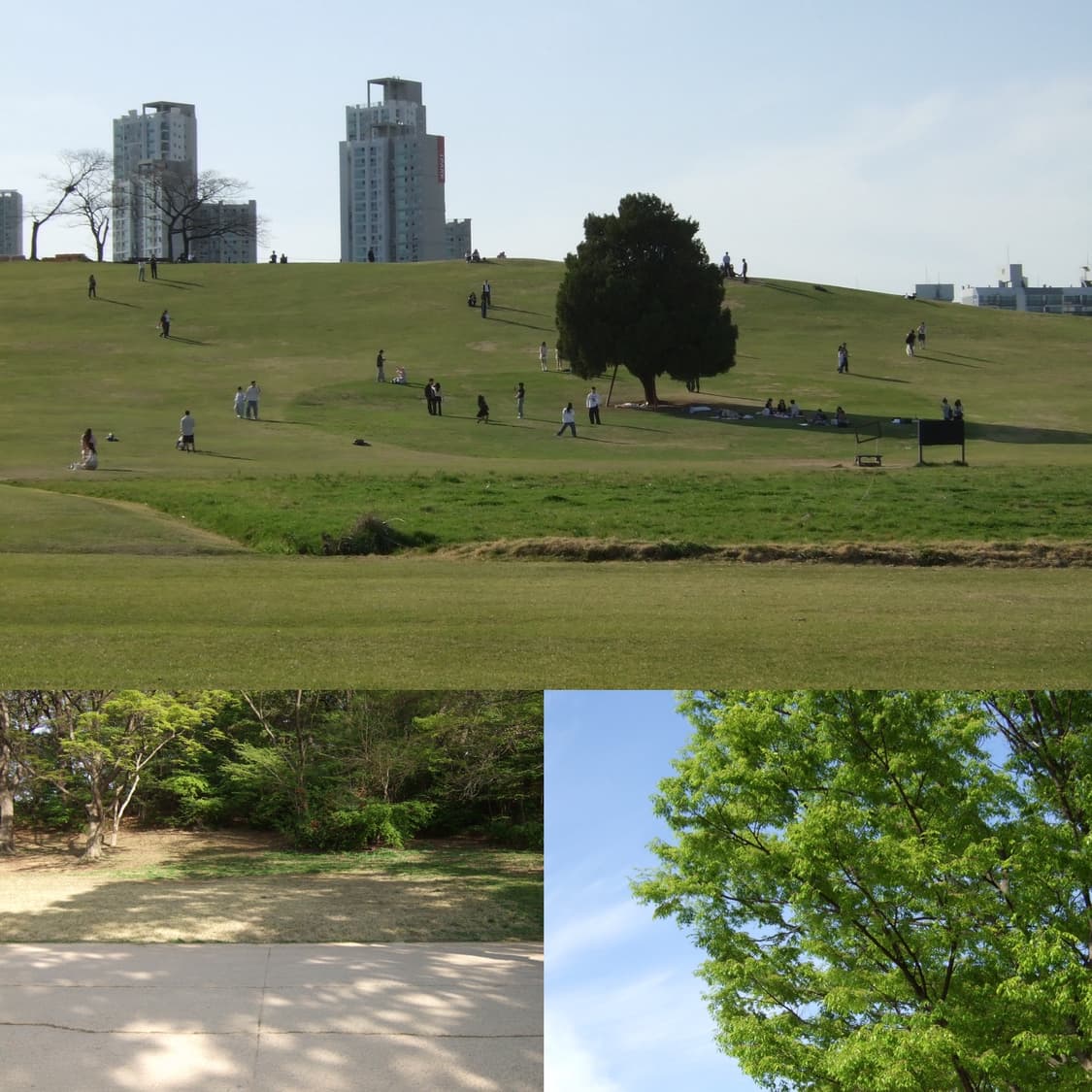 박스셋 전설의명기 수퍼CCD 📸 후지필름 F30+케이스 (작례O) 상품이미지10