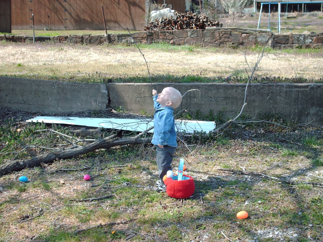 Hp 포토스마트 E317 빈티지 디지털카메라 상품이미지9