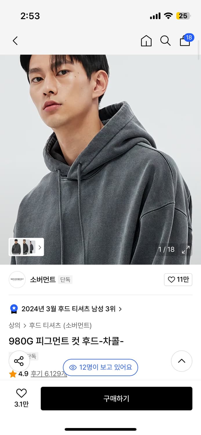 소버먼트 피그먼트 차콜 후드티 상품이미지1