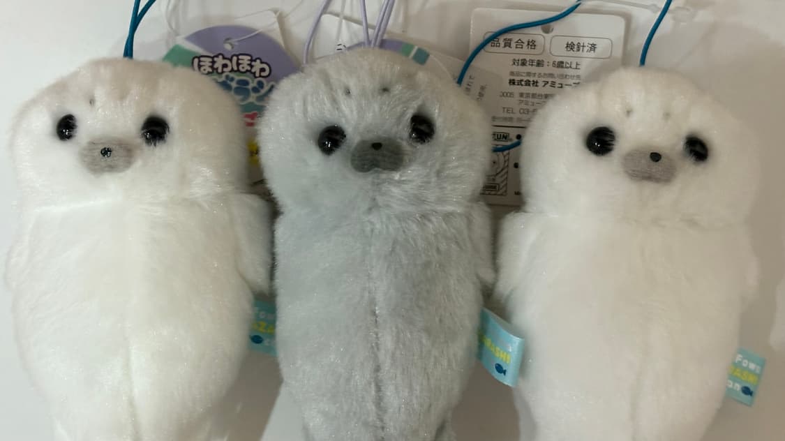 물개 물범 키링 인형 상품이미지2