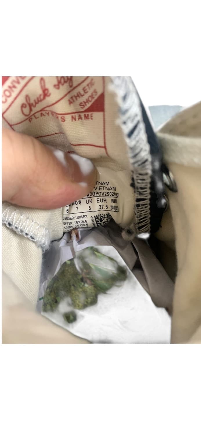 컨버스 척테일러 하이 240 (Gr-2587) 상품이미지8