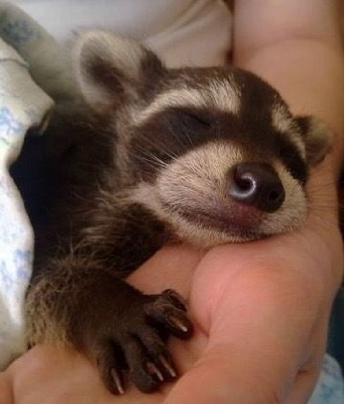 합배송 상품이미지1