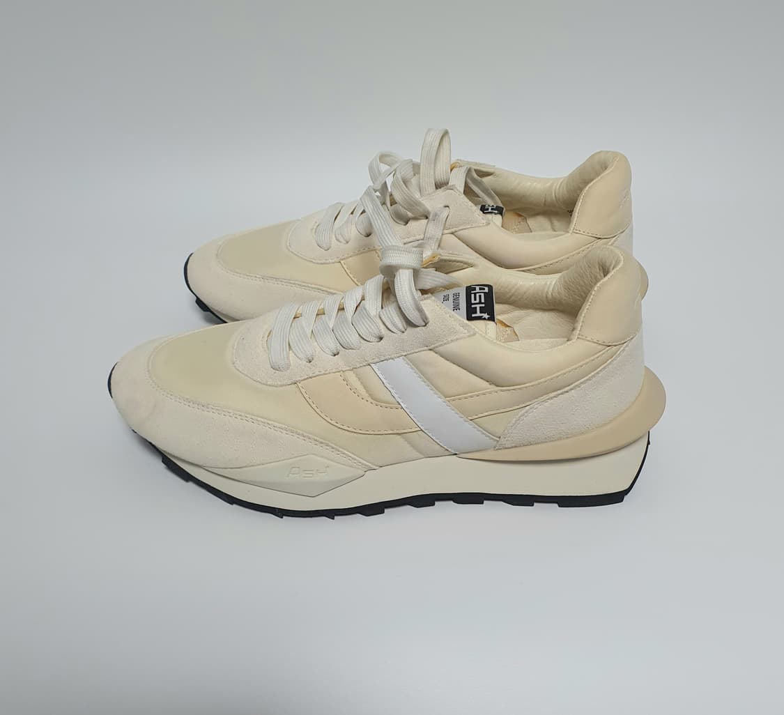 Ash 아쉬 스파이더 여자 스니커즈 240  상품이미지3