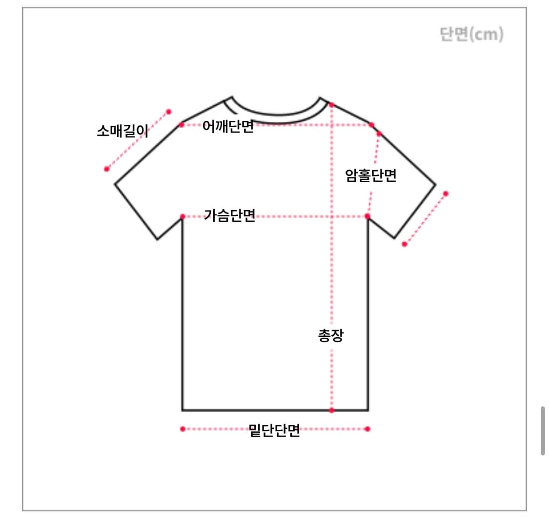 Pink short-sleeved blouse 모리반팔 바선생 블라우스 상품이미지2