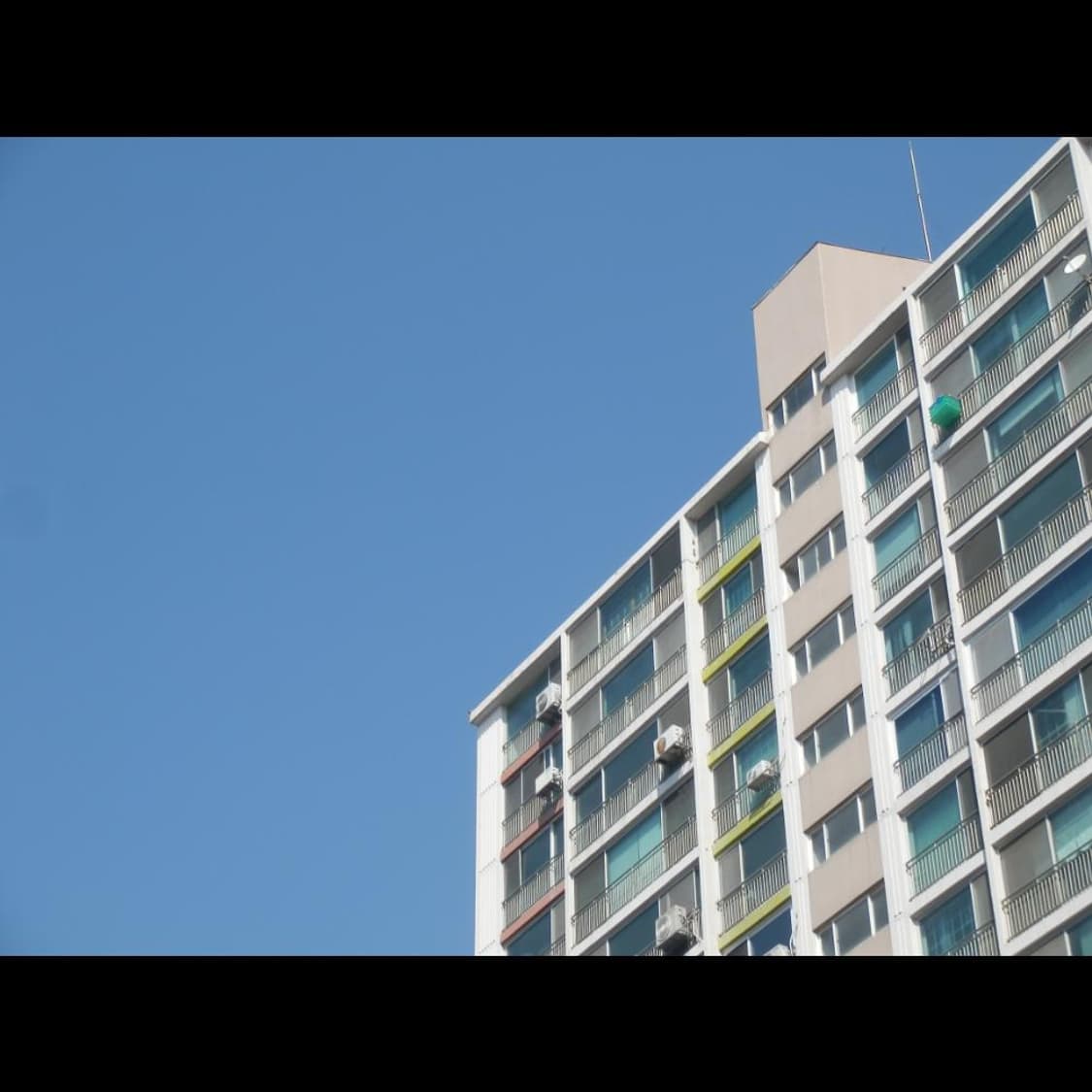 작례⭕️ 올림푸스 SZ-20 상품이미지2