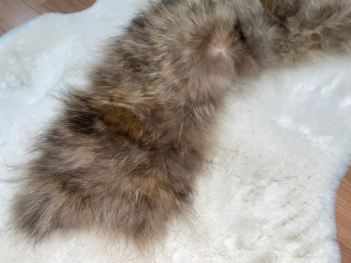 Fox fur 상품이미지1