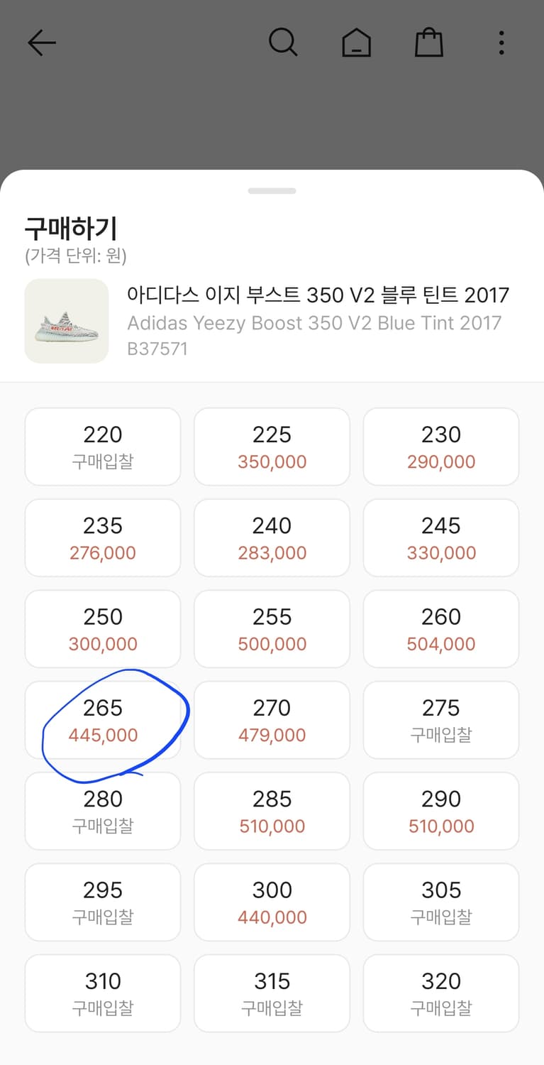 아디다스 이지부스트 350 상품이미지6