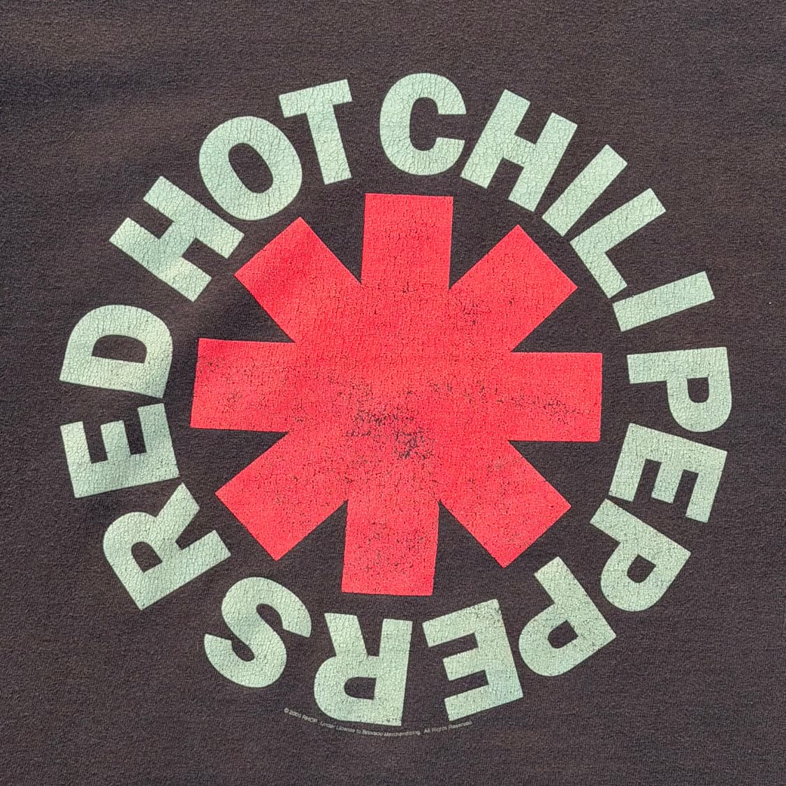 빈티지 06s 레드핫칠리페퍼스 RHCP 밴드 티셔츠 상품이미지3