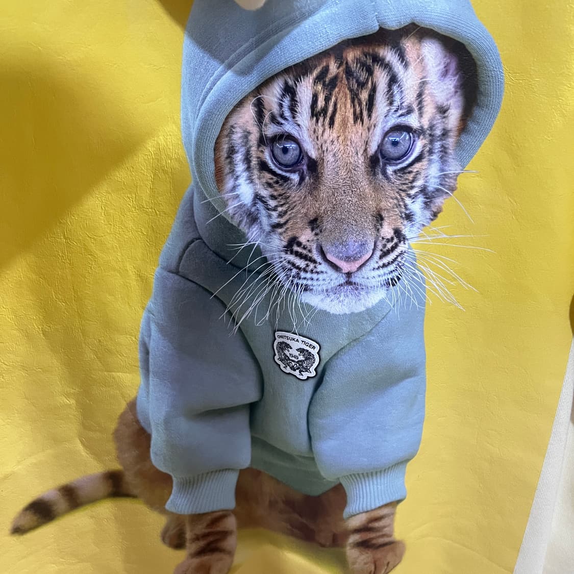 (M) 오니츠카타이거 호랑이 프린팅 후드 티셔츠 상품이미지6