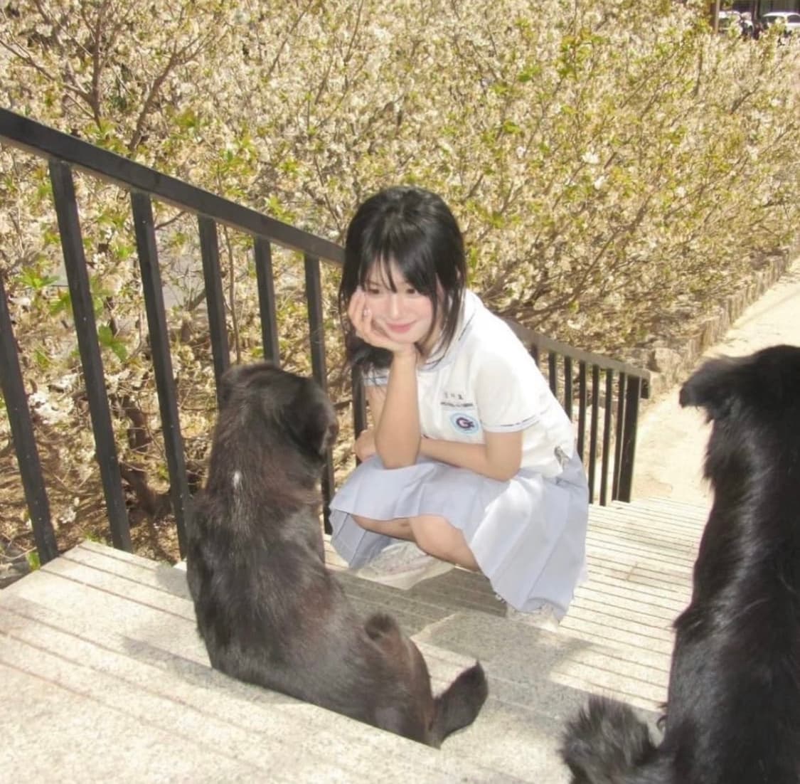 (핑크디카🌸/소프트색감🫧) 올림푸스 뮤1060 | 감성 디카 📸 상품이미지8