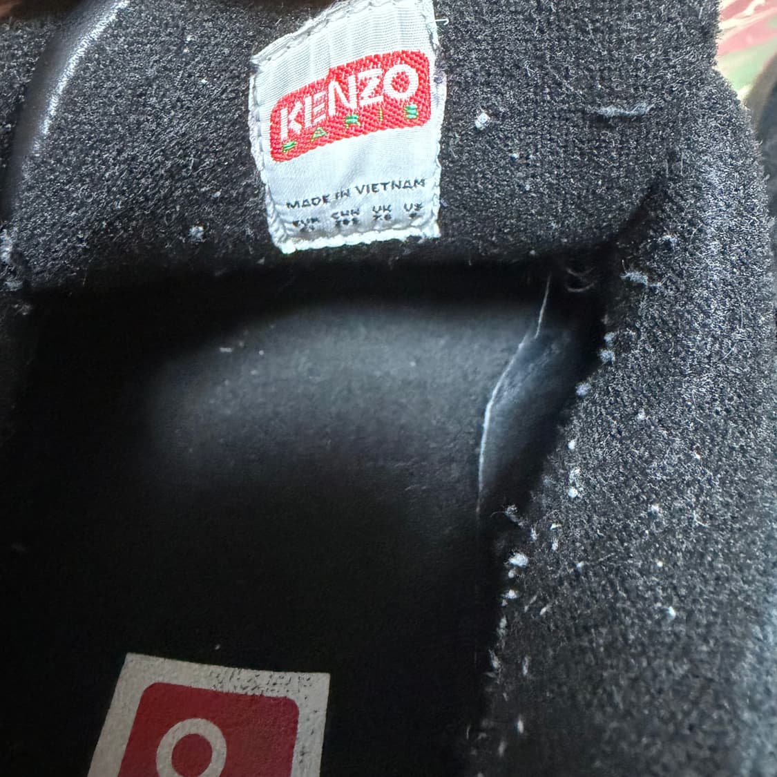 겐조 니고 돔 41 상품이미지4