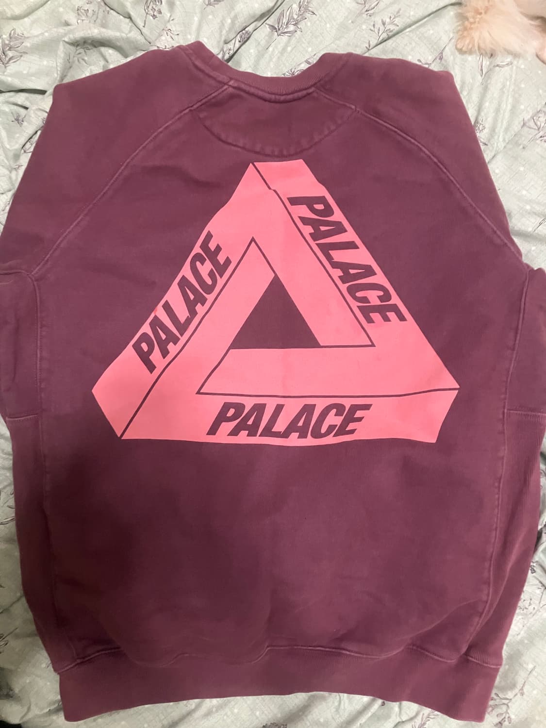 팔라스 트라이퍼그 슬럽 크루넥 퍼플 맨투맨 상품이미지2