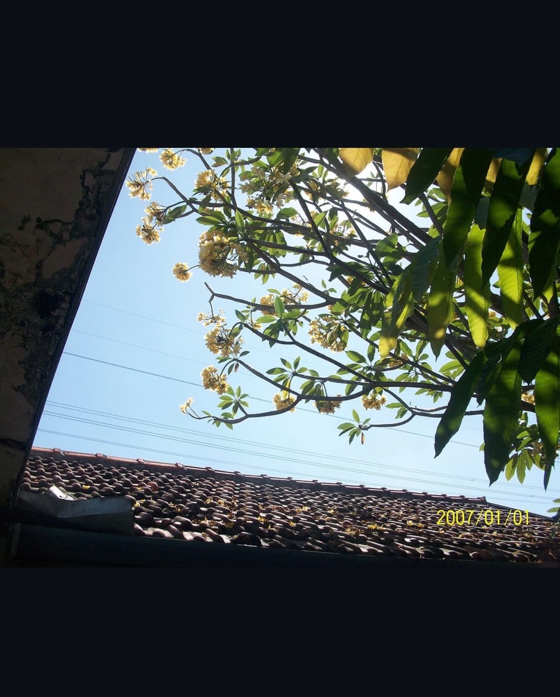 코닥 이지쉐어 m863 디지털카메라 상품이미지8