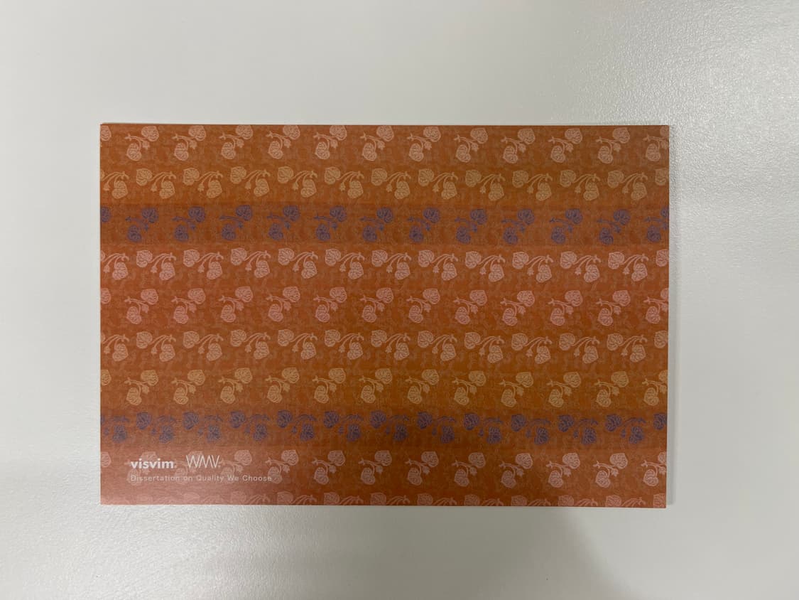 비즈빔 2025ss 컬렉션 아트 포토 visvim 상품이미지3