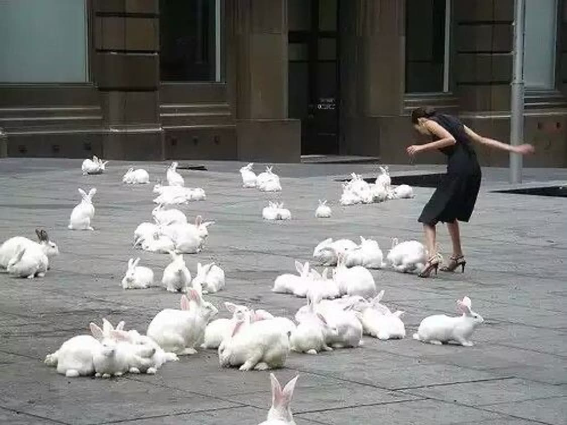 Isabel Marant bobby 상품이미지1