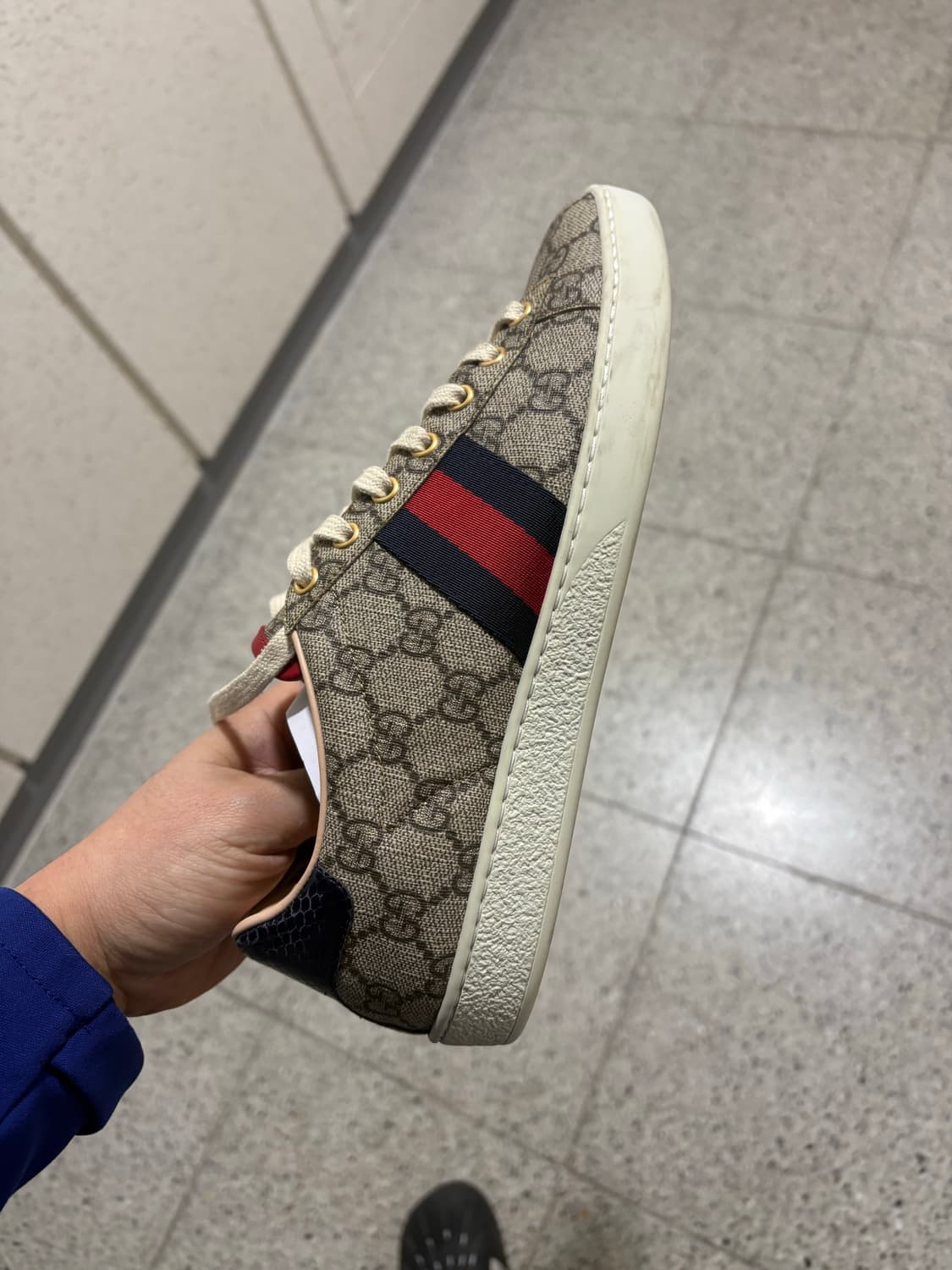 구찌 GG 슈프림 스니커즈 상품이미지4