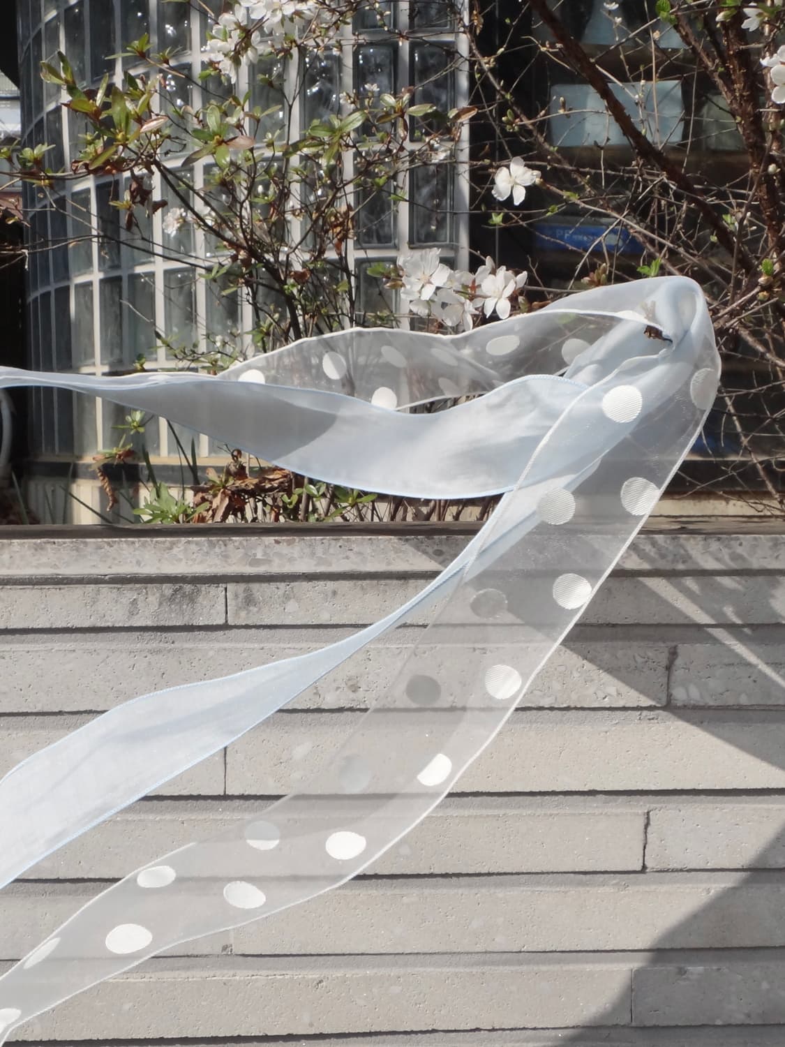 Dot sheer 2 layer scarf / ash blue 상품이미지1